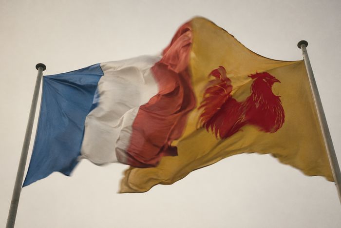Un drapeau tricolore et un drapeau au coq wallon flottant côte à côte au même vent
